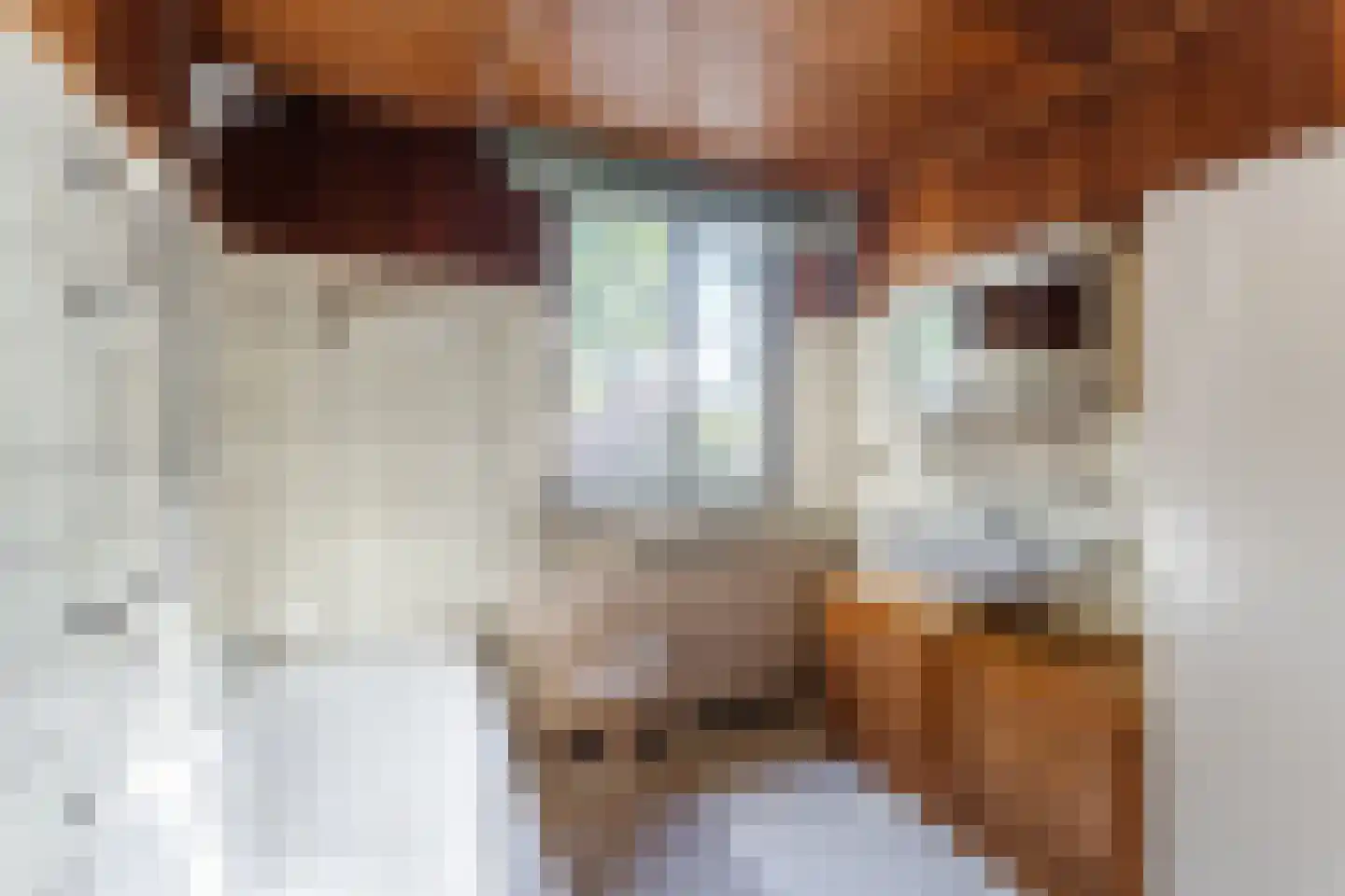 Meentweg 89 De Meern thumbnail 27