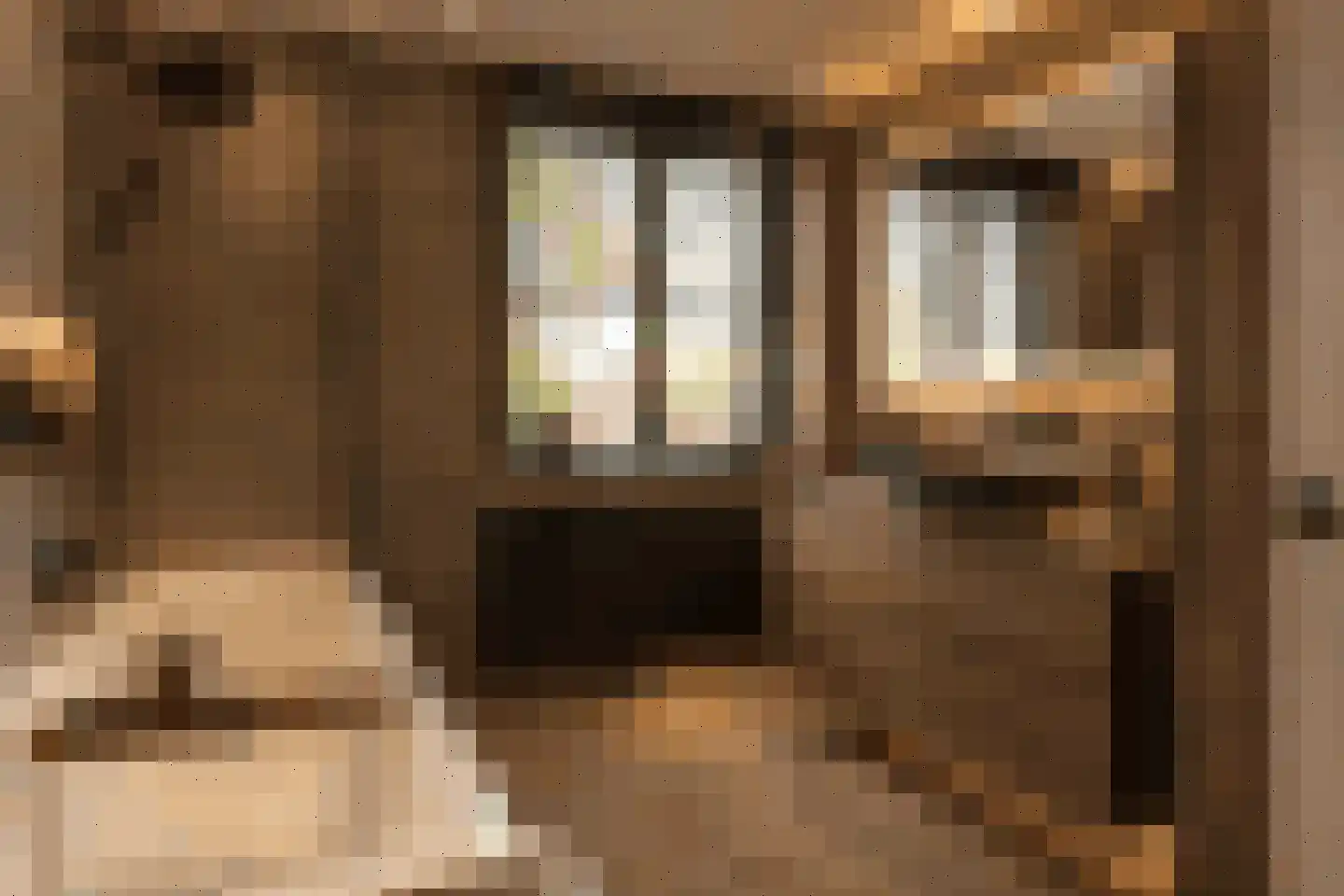 Meentweg 89 De Meern thumbnail 28
