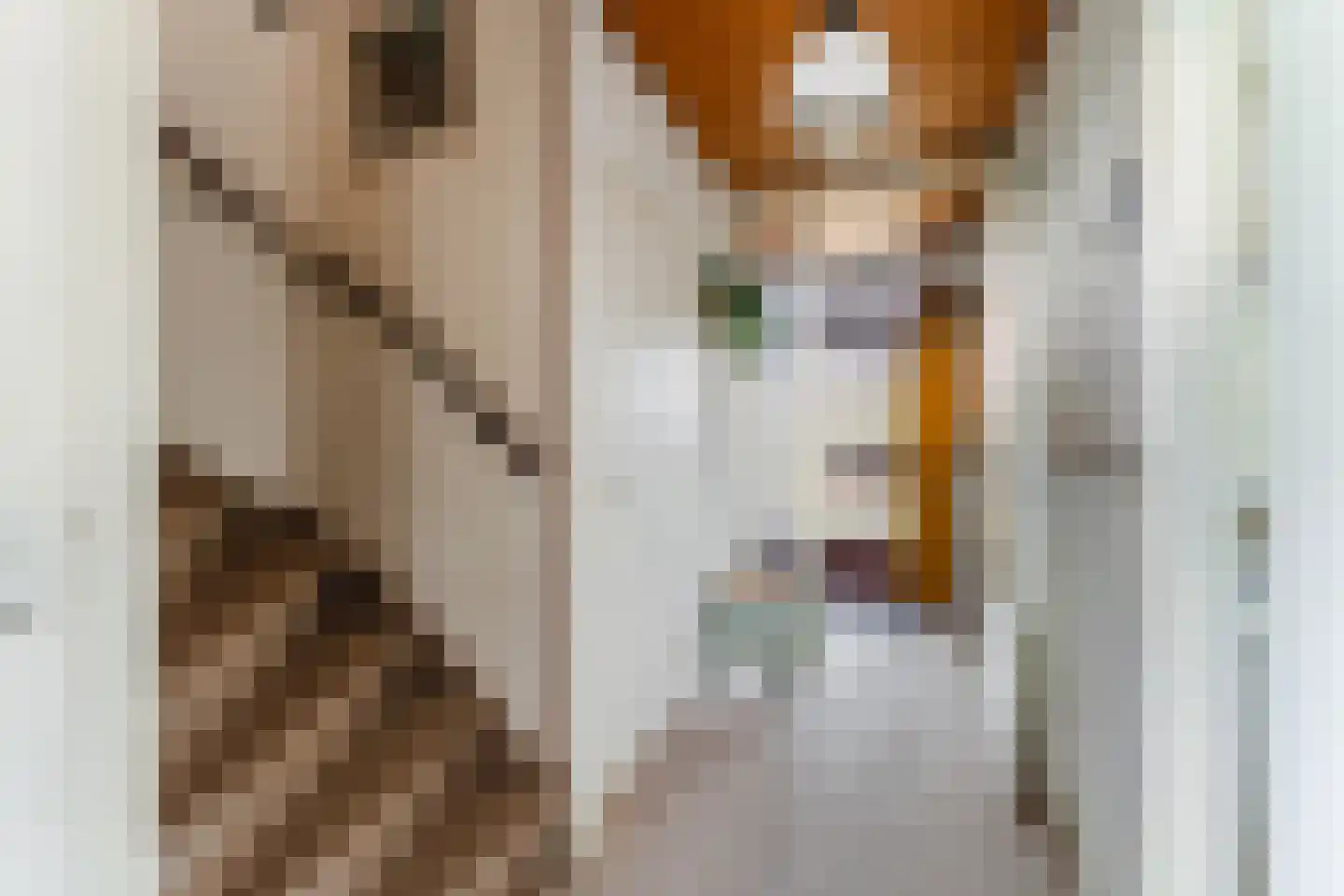 Meentweg 89 De Meern thumbnail 4