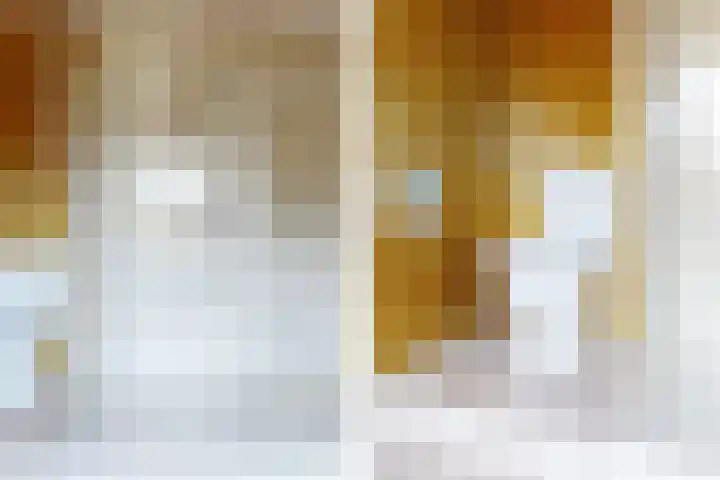 Meentweg 98 De Meern thumbnail 20