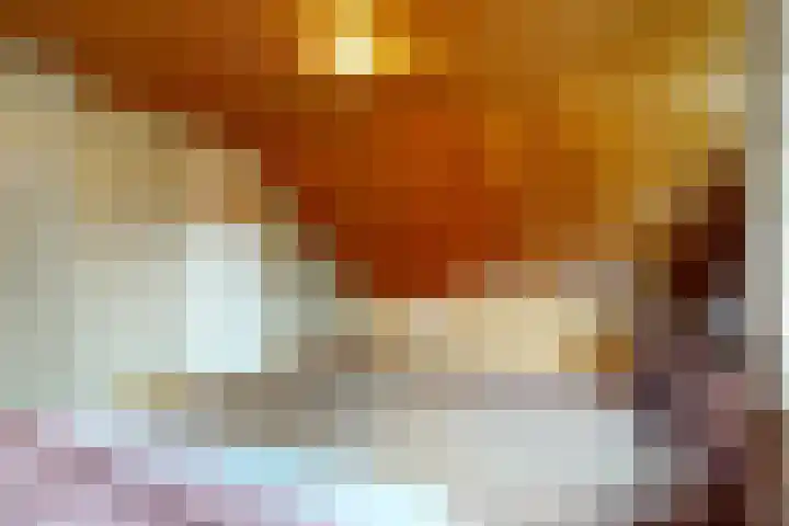 Meentweg 98 De Meern thumbnail 23