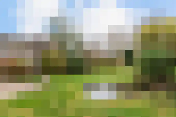 Meentweg 98 De Meern thumbnail 29