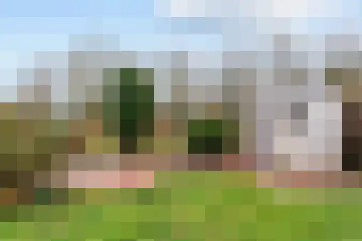 Meentweg 98 De Meern thumbnail 32