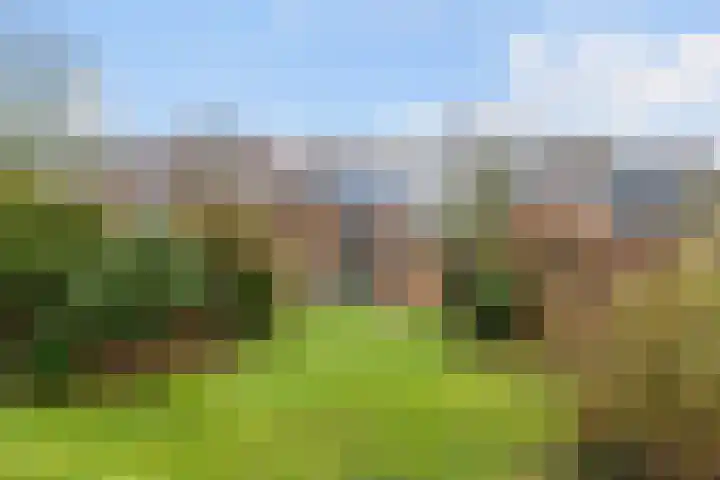 Meentweg 98 De Meern thumbnail 33