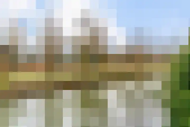 Meentweg 98 De Meern thumbnail 4