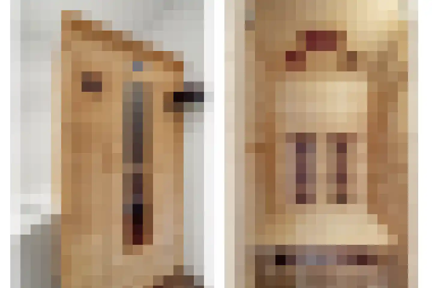 Meentweide 26 Reeuwijk thumbnail 20