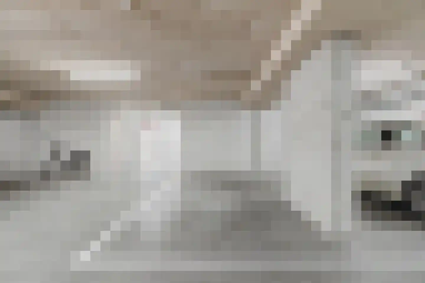Meentweide 26 Reeuwijk thumbnail 27