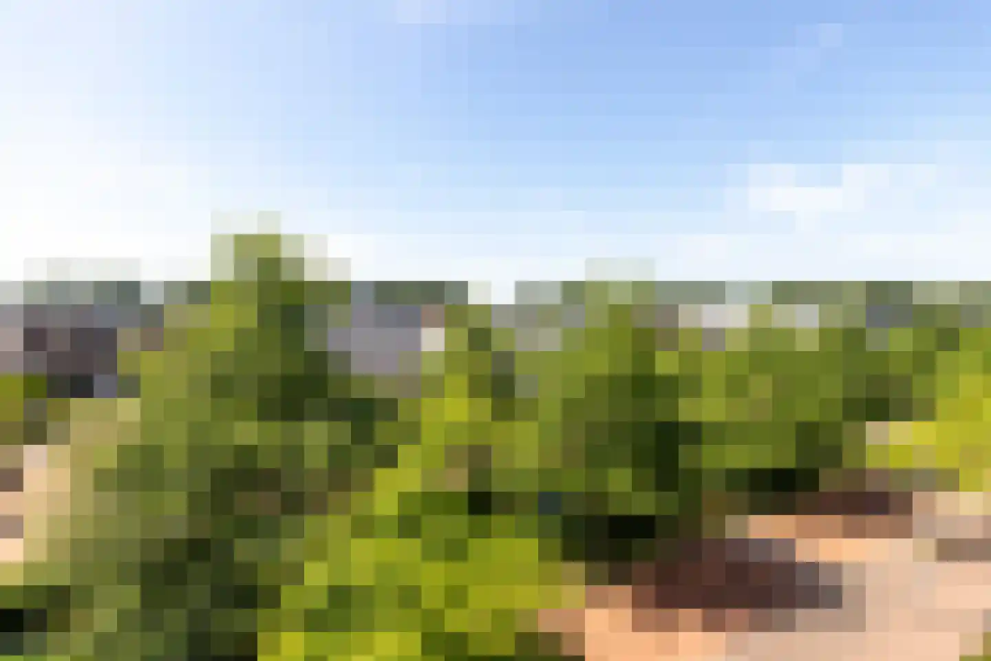 Meentweide 40 Reeuwijk thumbnail 21