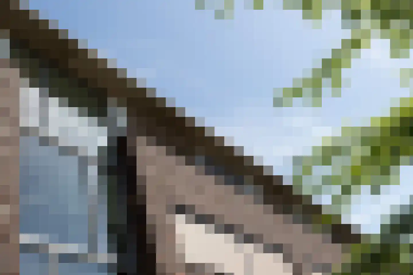 Meentweide 40 Reeuwijk thumbnail 38