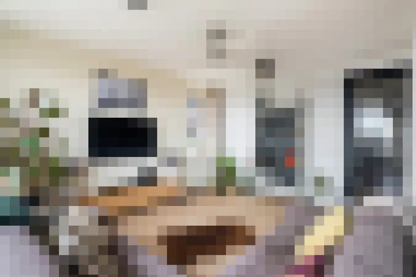 Meentweide 54 Reeuwijk thumbnail 14