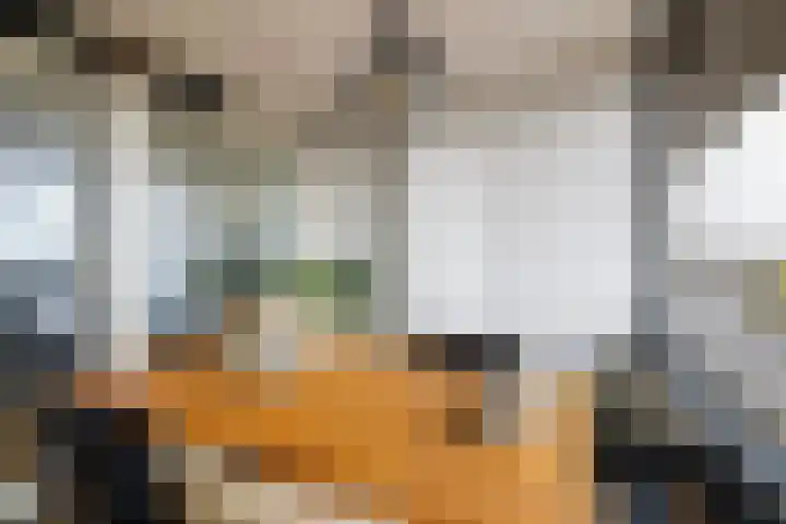 Meentweide 54 Reeuwijk thumbnail 19