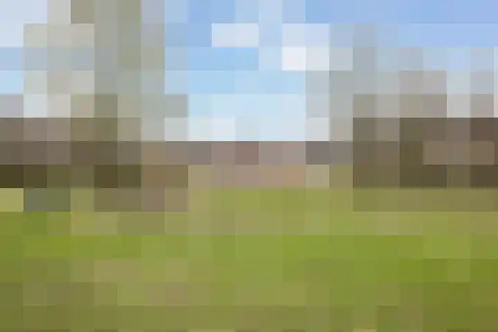Meentweide 54 Reeuwijk thumbnail 32