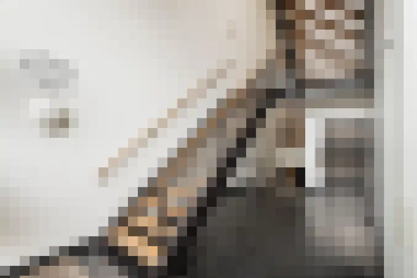 Meentweide 54 Reeuwijk thumbnail 7