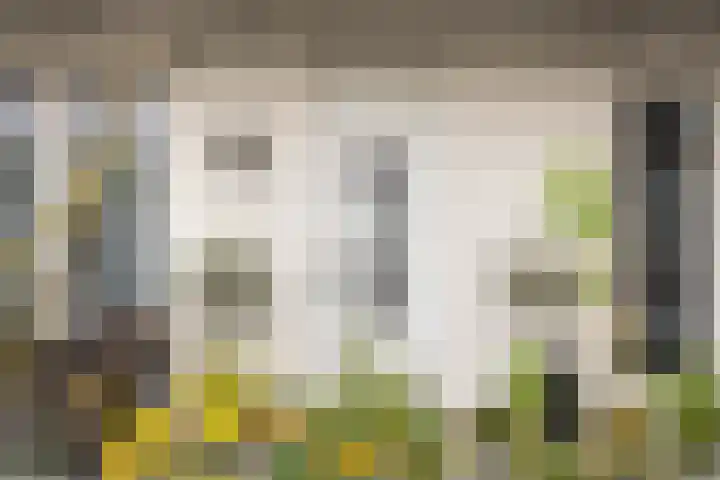 Meentweide 54 Reeuwijk thumbnail 8