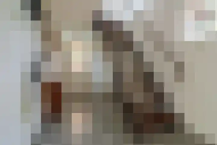 Meentzoom 15 Blaricum thumbnail 16