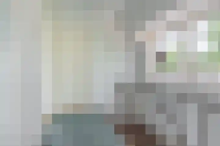 Meentzoom 15 Blaricum thumbnail 23