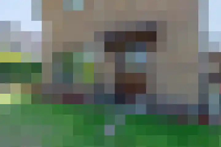 Meentzoom 15 Blaricum thumbnail 4
