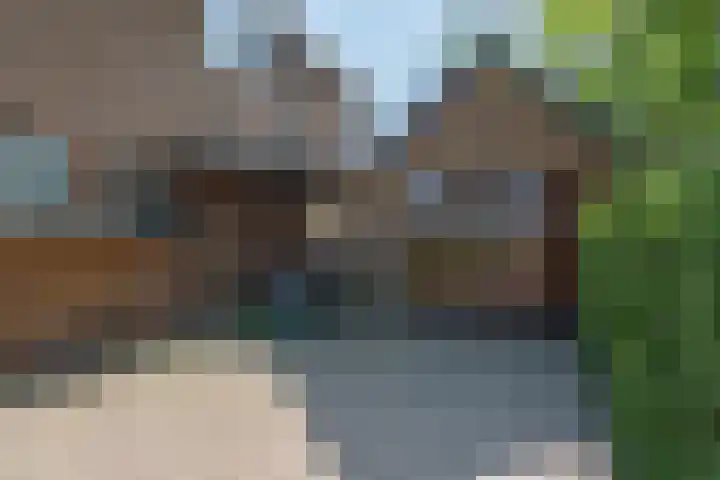 Meentzoom 15 Blaricum thumbnail 41