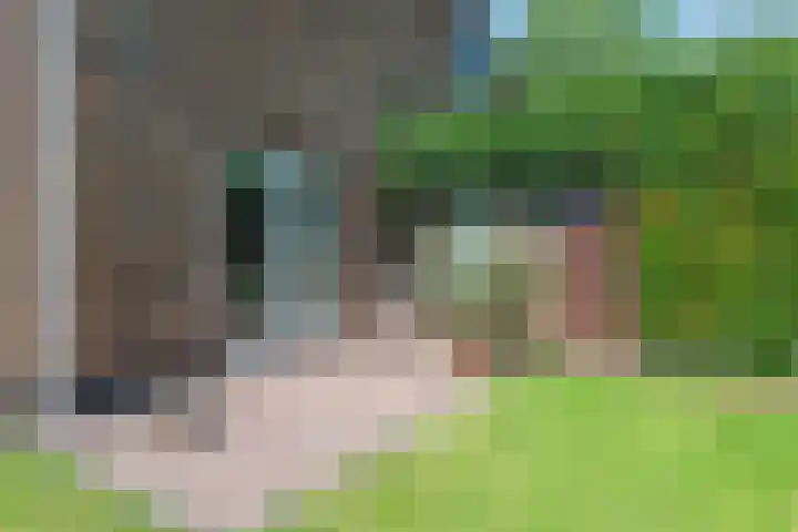 Meentzoom 15 Blaricum thumbnail 42
