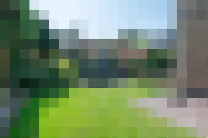 Meentzoom 15 Blaricum thumbnail 43