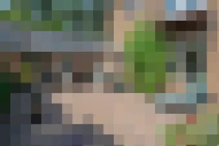Meentzoom 15 Blaricum thumbnail 44