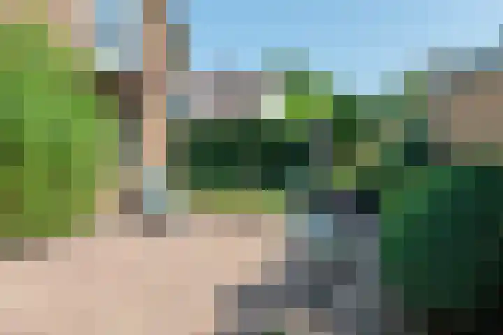 Meentzoom 15 Blaricum thumbnail 46
