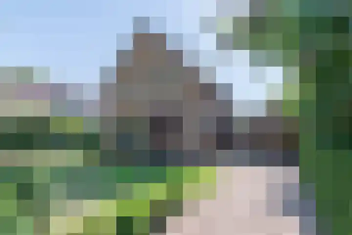 Meentzoom 15 Blaricum thumbnail 47