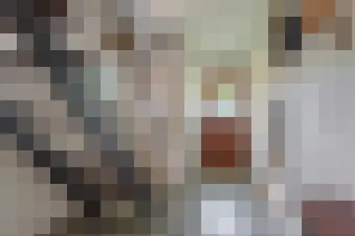 Meentzoom 15 Blaricum thumbnail 5