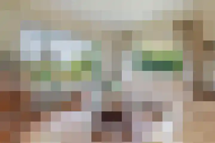 Meentzoom 15 Blaricum thumbnail 8