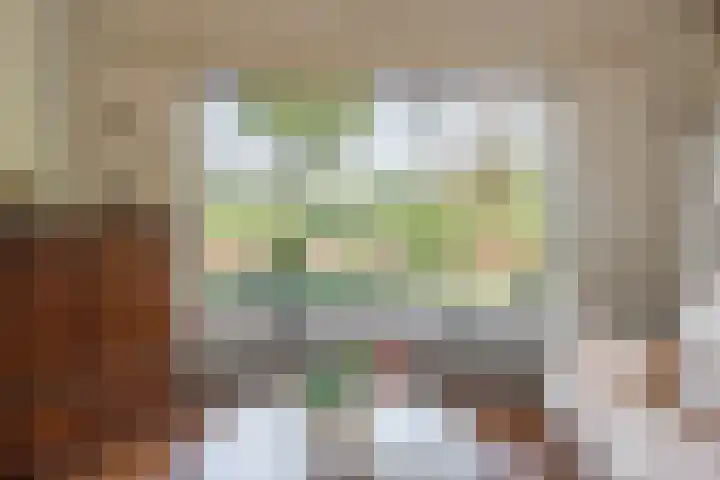 Meentzoom 15 Blaricum thumbnail 9