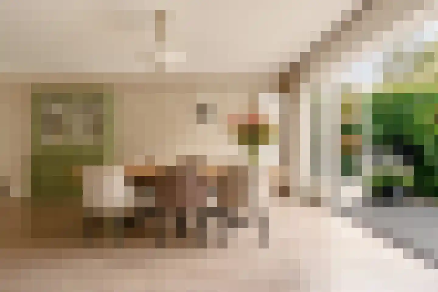 Meer en Boslaan 27 Heemstede thumbnail 16
