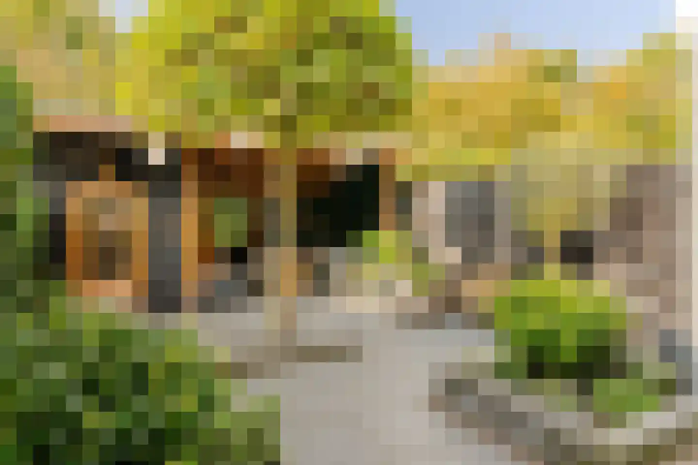 Meer en Boslaan 27 Heemstede thumbnail 22
