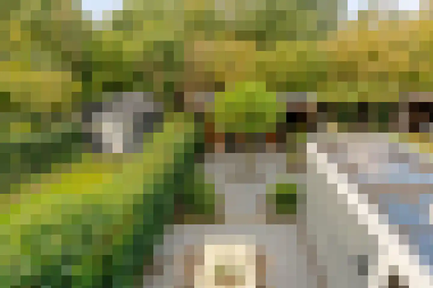 Meer en Boslaan 27 Heemstede thumbnail 27