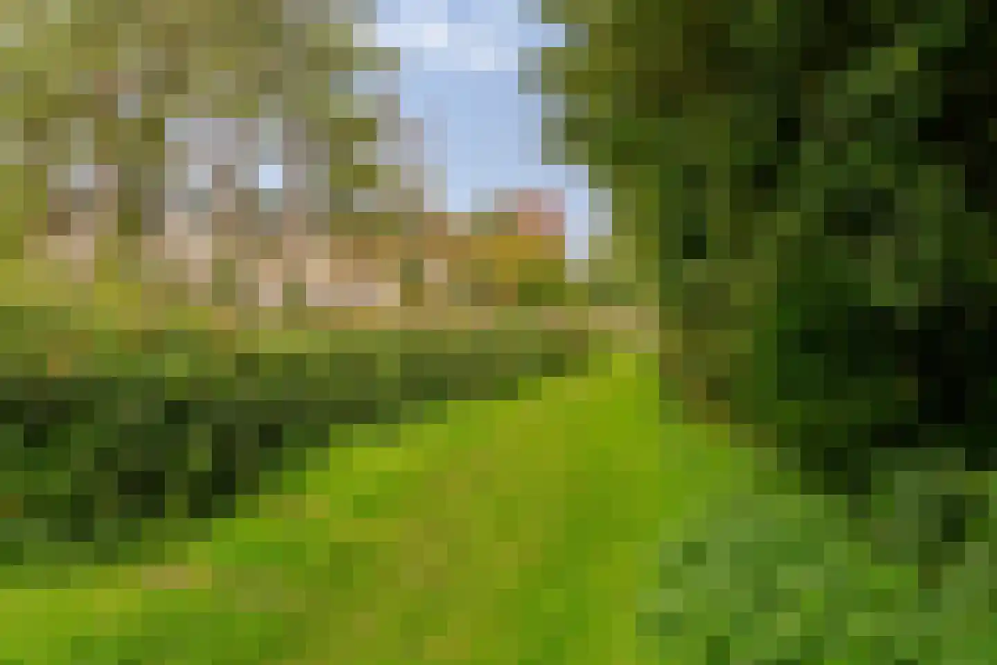 Meer en Boslaan 27 Heemstede thumbnail 45