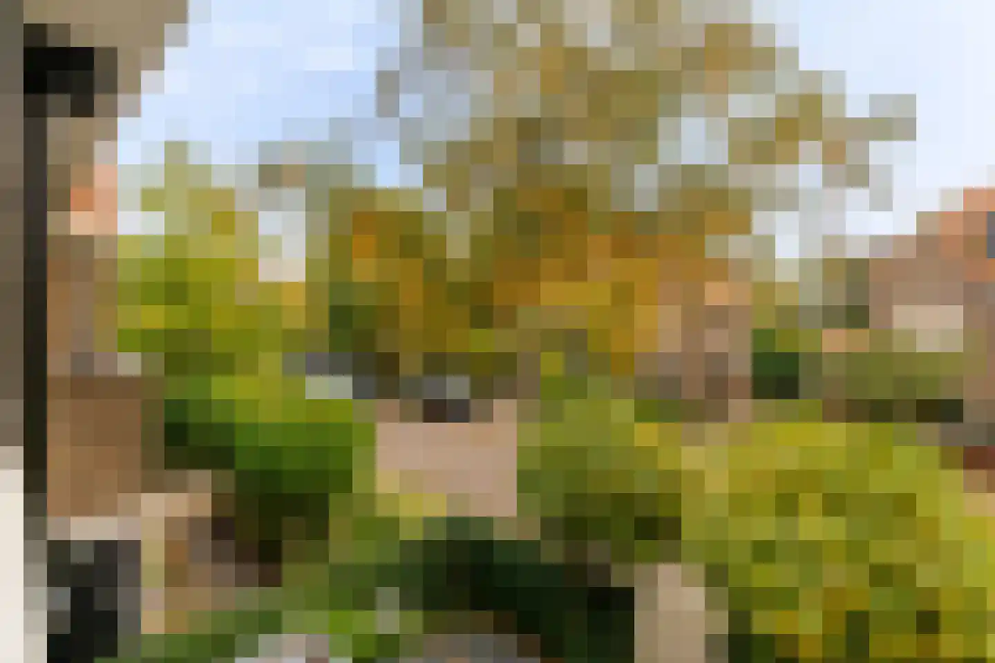 Meer en Boslaan 27 Heemstede thumbnail 6
