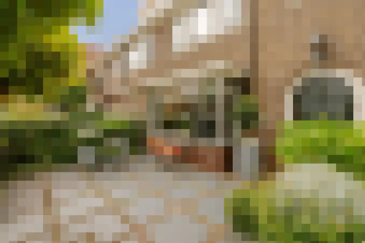 Meer en Boslaan 27 Heemstede thumbnail 7