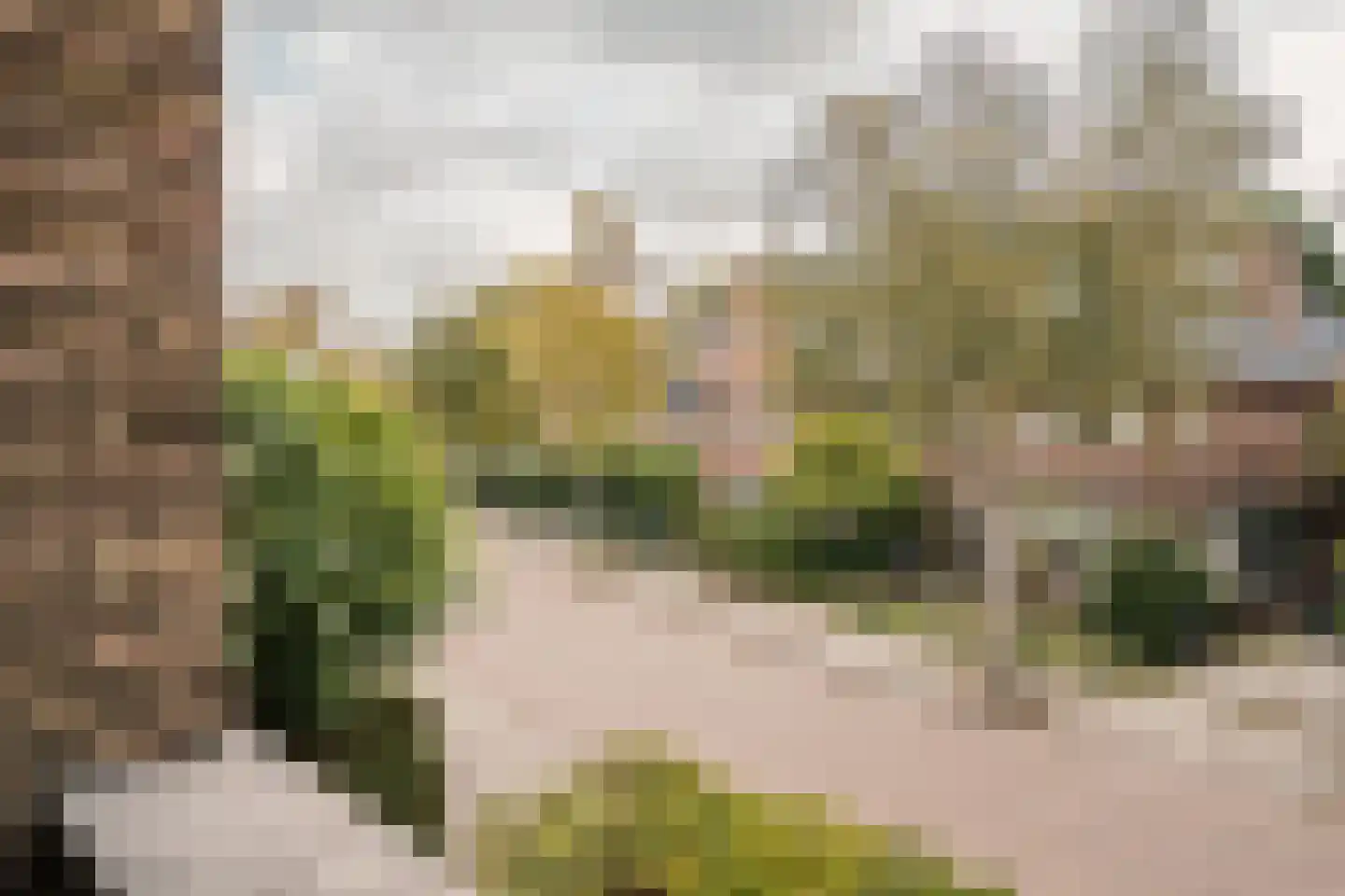 Meer en Boslaan 43 Heemstede thumbnail 34