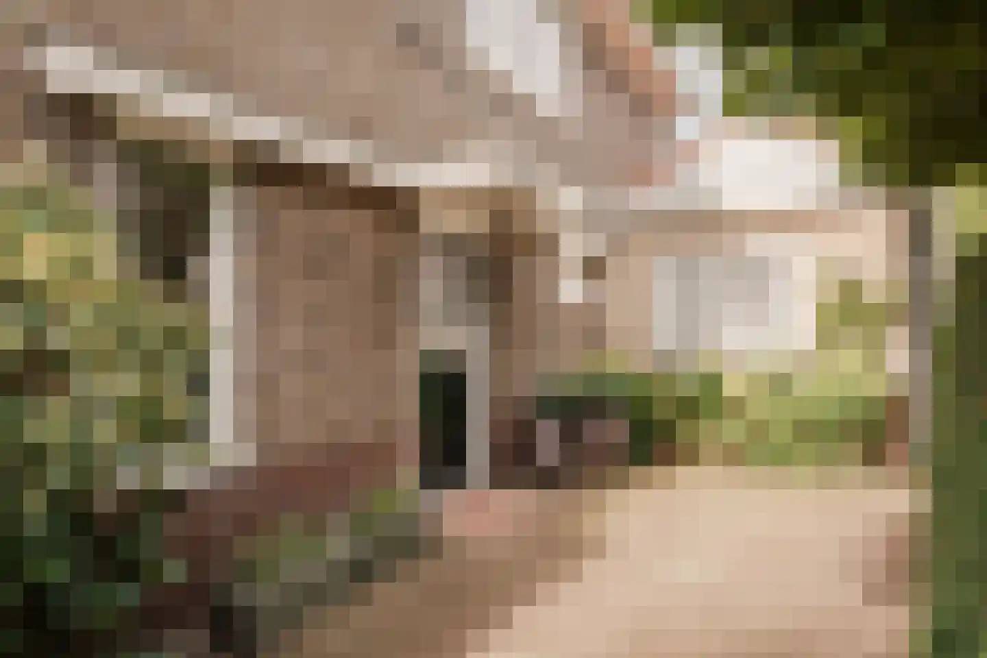 Meer en Boslaan 43 Heemstede thumbnail 4