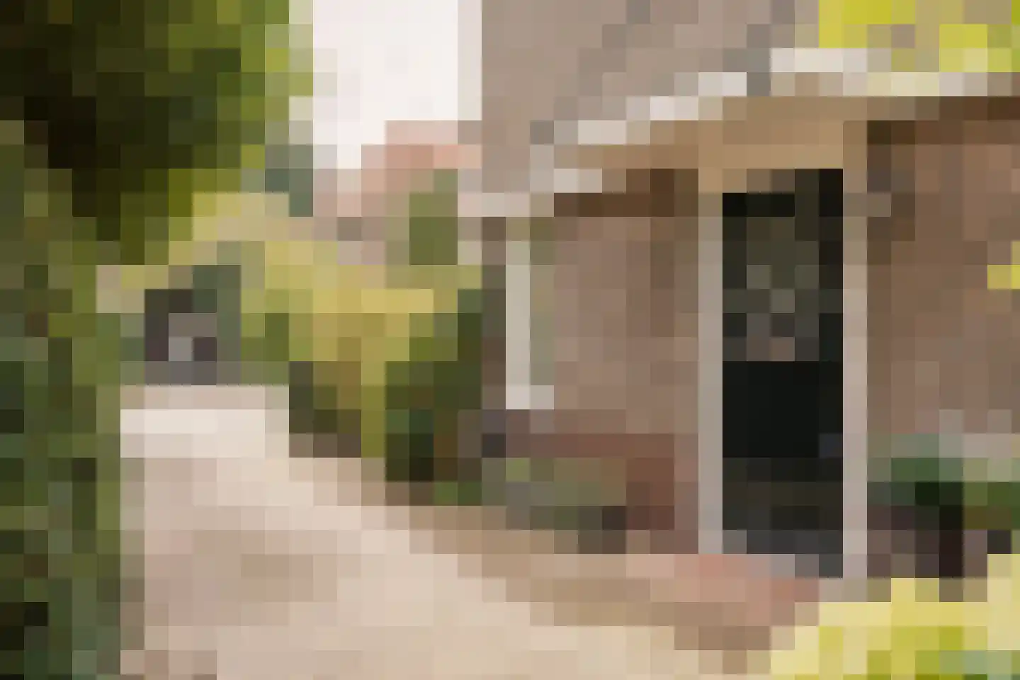 Meer en Boslaan 43 Heemstede thumbnail 5