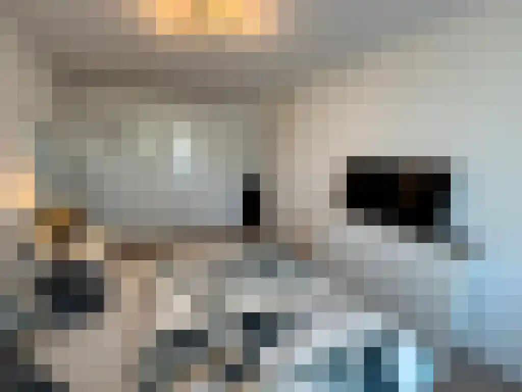 Meer en Vaart 110 Amsterdam thumbnail 6