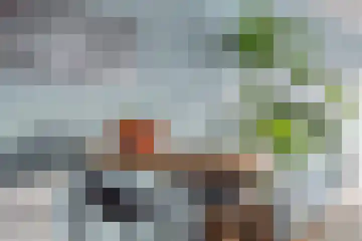 Meer en Vaart 172 G Amsterdam thumbnail 21