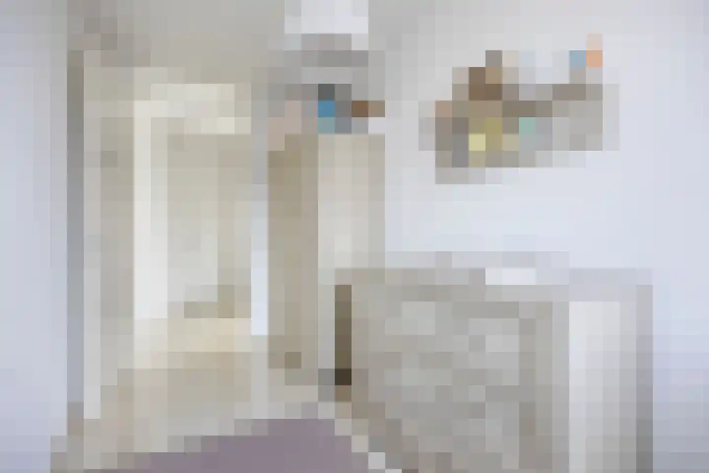 Meer en Vaart 182 Amsterdam thumbnail 19