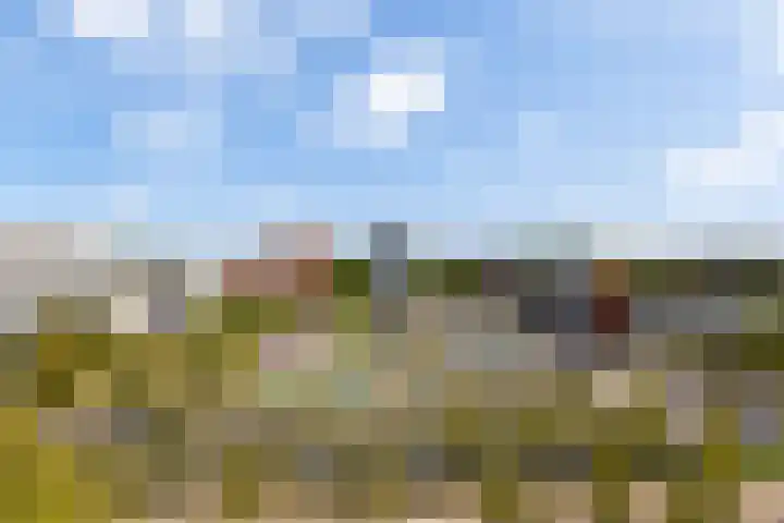 Meer en Vaart 98 B Amsterdam thumbnail 20
