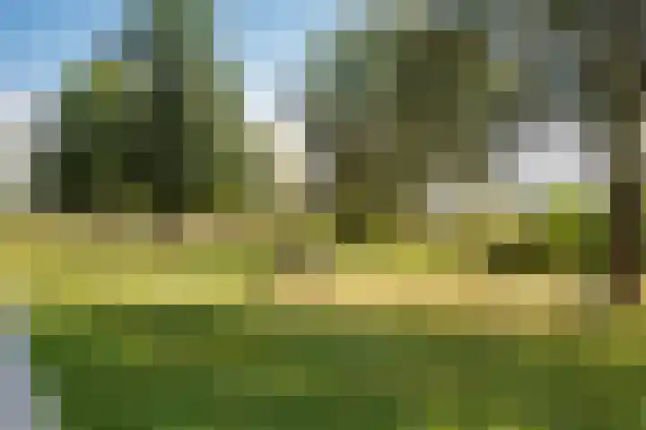 Meer van Annecy 50 Woerden thumbnail 36