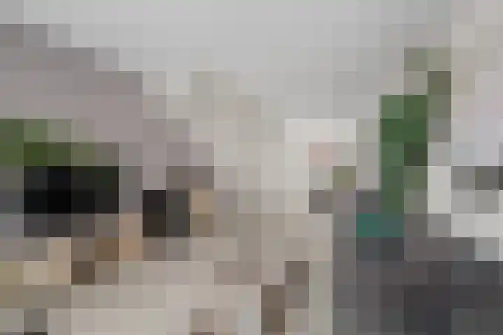 Meer van Annecy 6 Woerden thumbnail 12