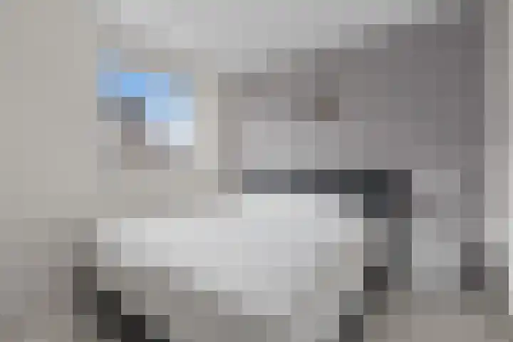 Meer van Annecy 6 Woerden thumbnail 15