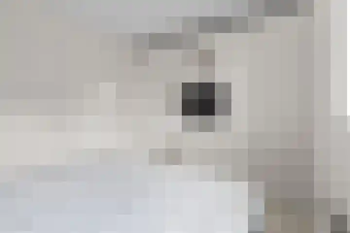 Meer van Annecy 6 Woerden thumbnail 16