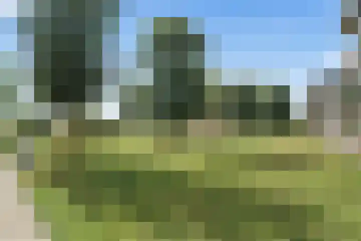 Meer van Annecy 6 Woerden thumbnail 40