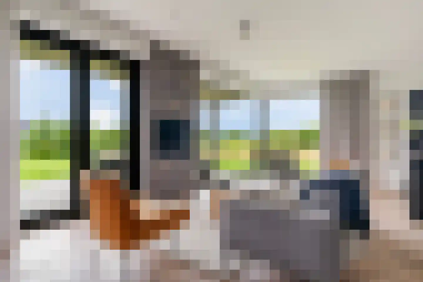 Meer van Eysinga 28 Sint Nicolaasga thumbnail 11