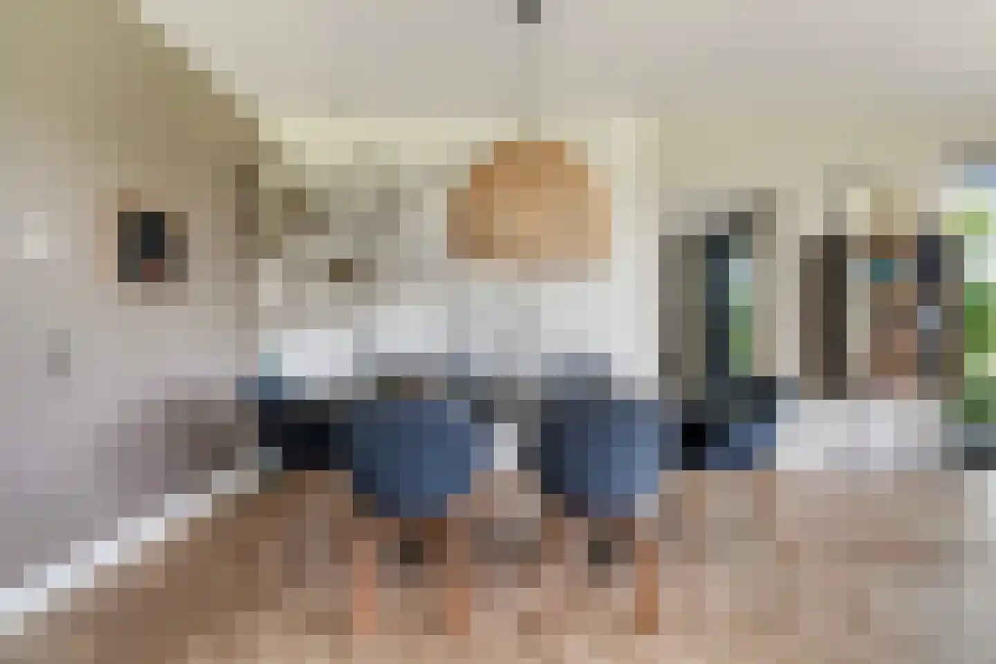 Meer van Eysinga 28 Sint Nicolaasga thumbnail 18